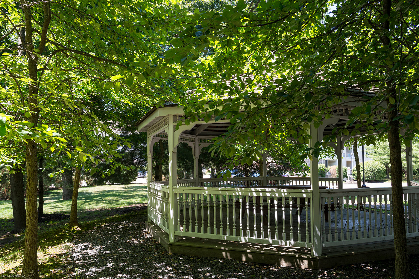 Edgewood Development Our Portfolio of Properties Residential Chestnut Park